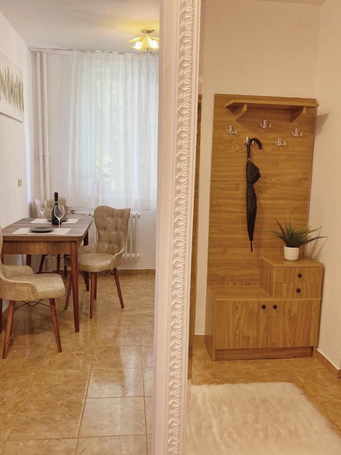Appartement Timisoara Central Apartament Extérieur photo