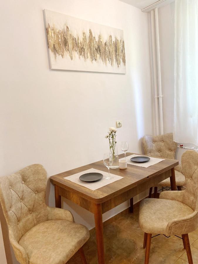 Appartement Timisoara Central Apartament Extérieur photo