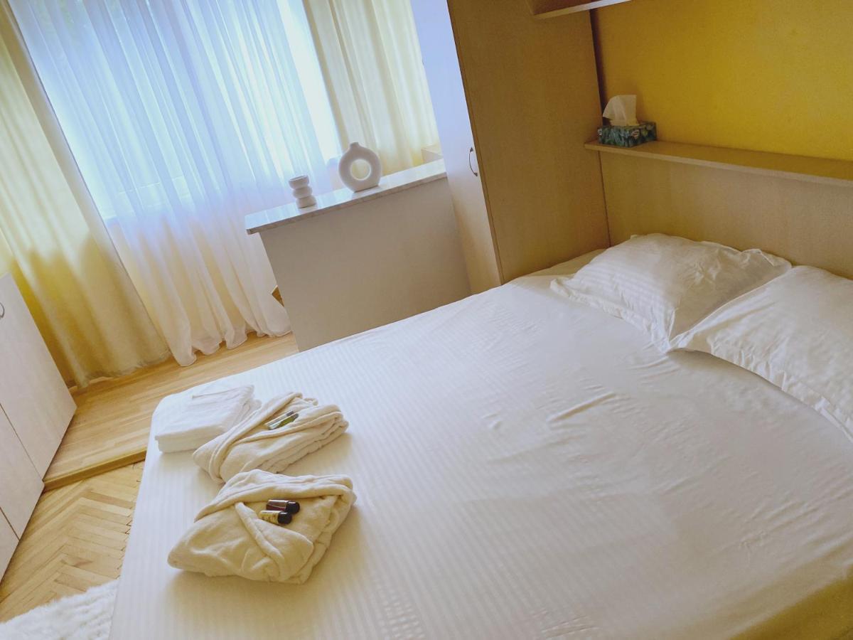 Appartement Timisoara Central Apartament Extérieur photo